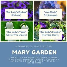 4 Tips For Planting A Mary Garden