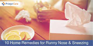10 home remes for runny nose and