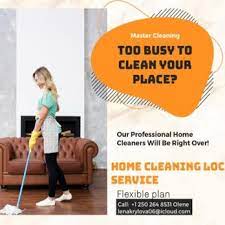 home cleaning in prince albert sk