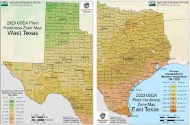 usda texas planting zones map for plant