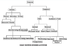 Draw A Chart Showing The Classification Of Business Activities