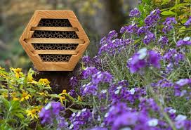 Attract Native Bees With A Free House