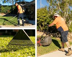 Gardeners Sydney Book Gardening