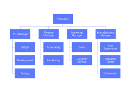 Functional Organizational Chart Cacoo