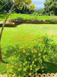 Landscaping For Small Gardens In Sri
