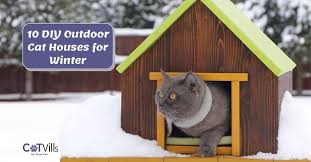 10 Diy Outdoor Cat House Ideas