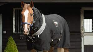 best magnetic rugs for horseore