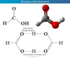 formic acid formula preparation