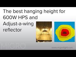 The Best Hanging Height For A 600w Hps With An Adjust A Wing