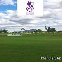 Springfield Golf Resort - Chandler, AZ - Save up to 46%