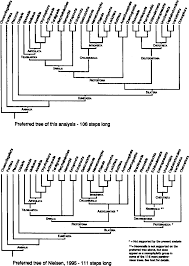 The cladogram on the right uses retroviral sequences which have been incoporated into ape dna and. Pdf Cladistic Analyses Of The Animal Kingdom Semantic Scholar