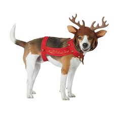 Holiday Reindeer Dog Costume