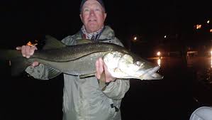 trere coast fishing report catch
