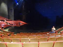 Our Seats Picture Of La Nouba Cirque Du Soleil Orlando