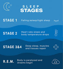 Understanding Sleep Cycles And How To Improve Sleep Health