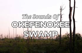 okefenokee sw sounds from one of