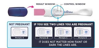 Early Detection Pregnancy Test Clearblue