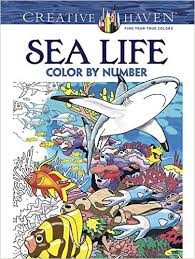 Everyone loves color by numbers, kids and adults alike. Color By Number Coloring Books For Adults Stress Free Colouring