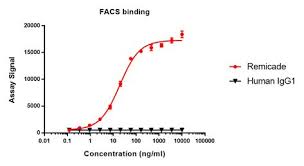 Flow Cytometry Binding Analysis Biosimilar Development