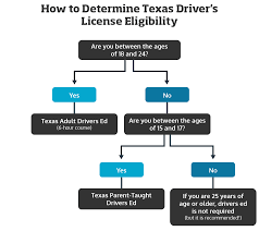 texas driver s license requirements