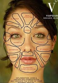 Face Chart Zits Pimples Why They Show Up