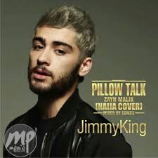 Zayn pillowtalk official music video mp3. Download Mp3 Jimmyking Pillow Talk Naija Cover Download Mp3