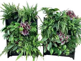 plantbox living wall stackable