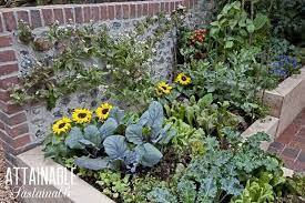 Growing A Front Yard Vegetable Garden