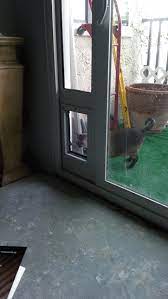 The Sb Standard Patio Pet Door Insert