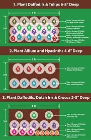 Planting Guide Year Round Colors
