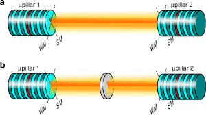 quantum dot micropillar lasers