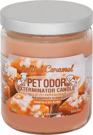 Holiblaze odor eliminator candle $7.95. Amazon Com Specialty Pet Products Amber Patchouli Pet Odor Exterminator 13 Ounce Jar Candle Amber Patchouli 1 Home Kitchen
