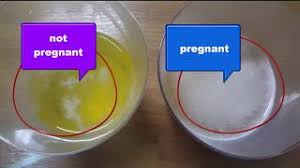 pregnancy test with salt how it works