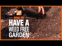 How To Have A Weed Free Garden The