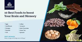 Best Foods To Boost Your Brain And Memory gambar png
