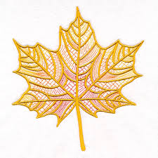 Patterns Of Nature Maple Leaf