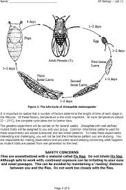 lab drosophila genetics pdf drosophila well defined mutant traits will be assigned to you and your group