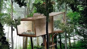 modern tree house design and ideas