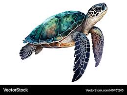 Watercolor Sea Turtle Royalty Free