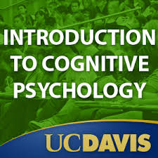 PSC100 - Introduction to Cognitive Psychology
