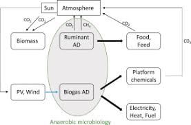 biomethane the energy storage