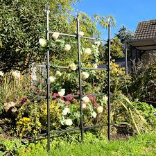 garden trellis for climbing plants 6ft