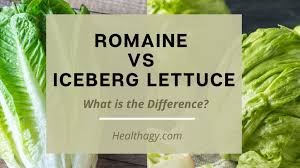 romaine vs iceberg lettuce nutritional