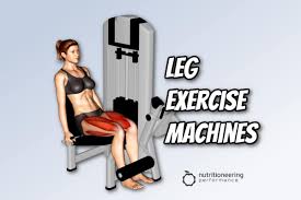 15 leg exercise machines how to use