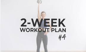 free 14 day workout plan pdf