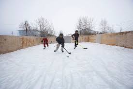 ultimate backyard hockey rink
