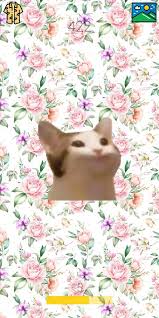 Popcat русалочка дисней мультфильмы картинка песочница pop cat мемы. Pop Cat For Android Apk Download