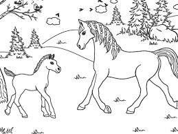 coloring sheets schleich