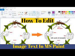 Ms Paint Editing Image Text In Paint