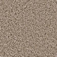 carpet undefined all floors of orlando